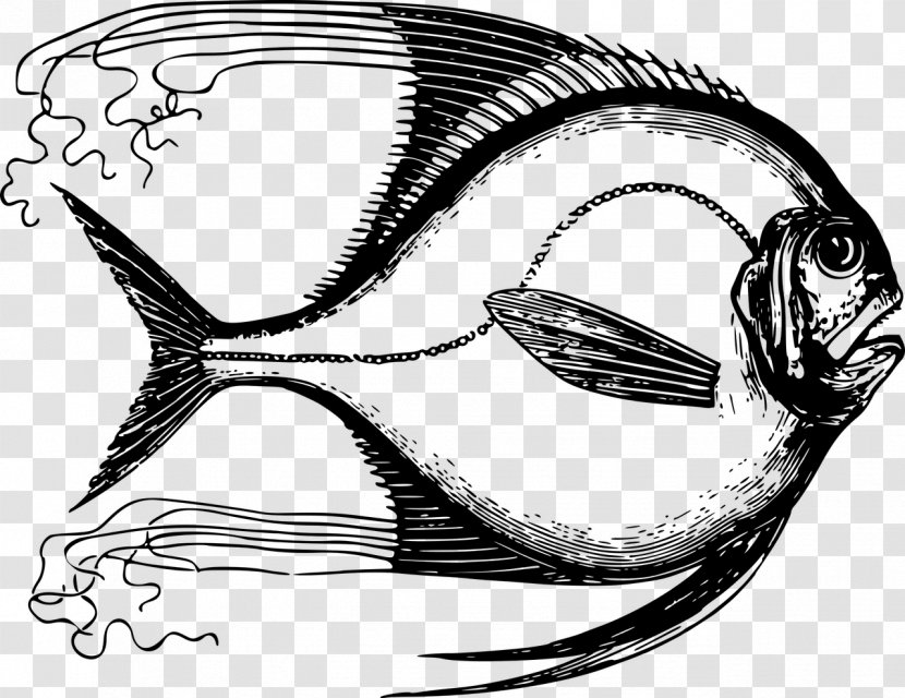 T-shirt Drawing Fish Designer Clip Art - Top Transparent PNG