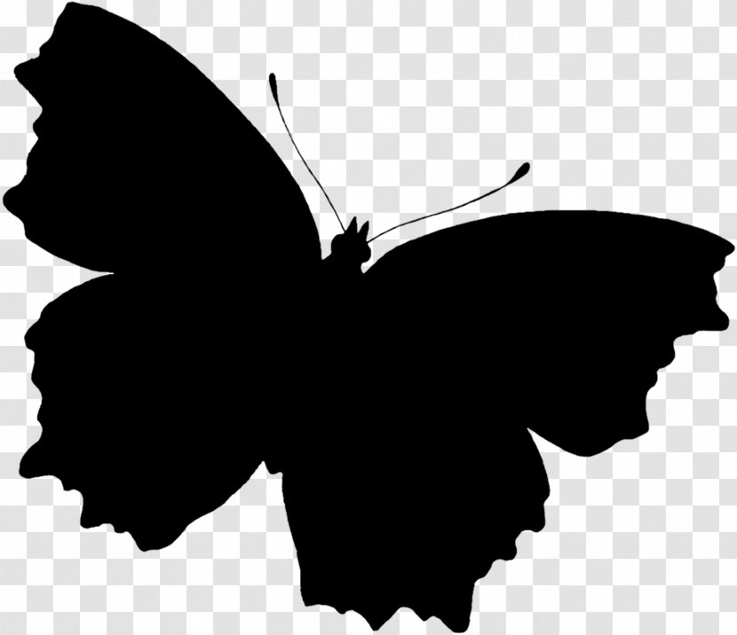 Butterfly Silhouette - Moths And Butterflies - Swallowtail Wing Transparent PNG