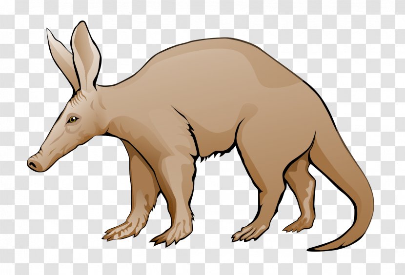 Aardvark Website Clip Art - Mammal - Cliparts Transparent PNG
