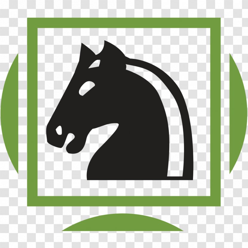 Mustang Pony Chess Email Jerome Fisher Program In Management And Technology - Coaching Transparent PNG