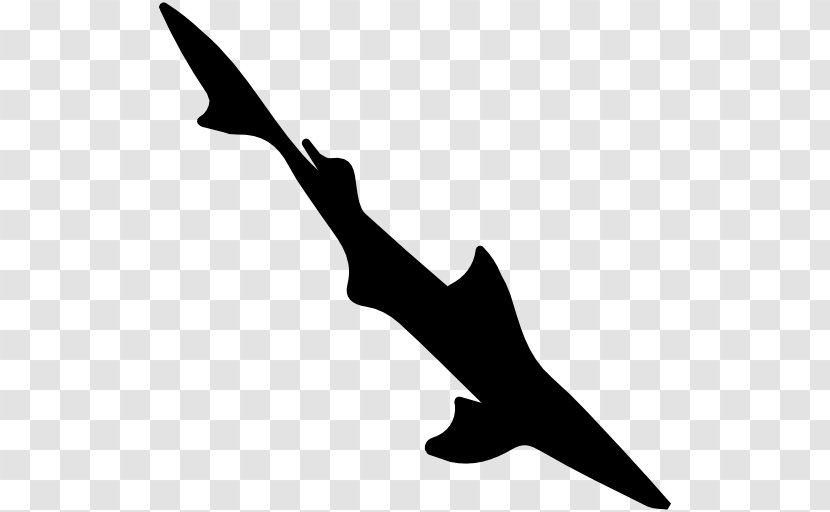 Spiny Dogfish Shark Clip Art - Beak Transparent PNG