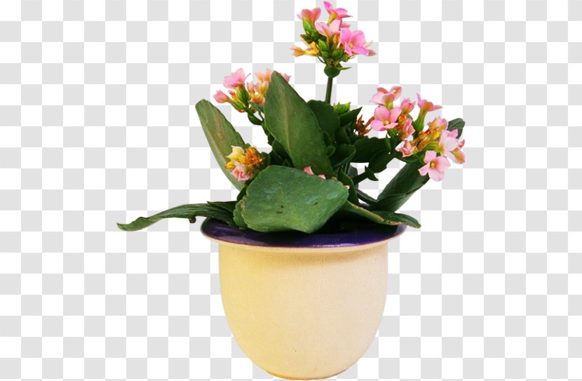 Houseplant Flowerpot Ornamental Plant - Window Sill Transparent PNG