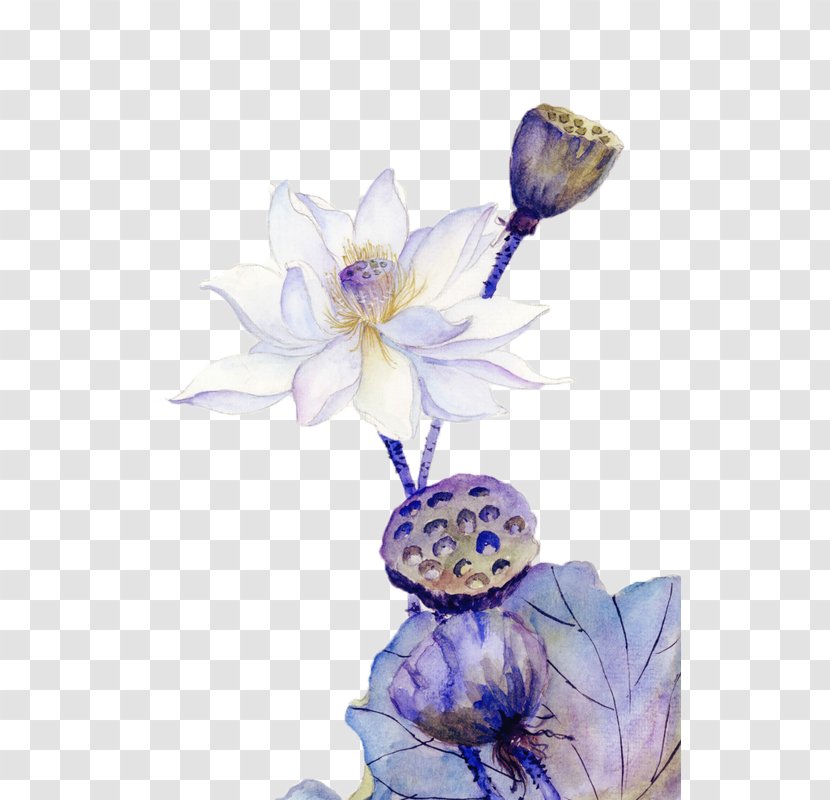 Chinoiserie Painting - Cut Flowers - Pure Lotus And Root Transparent PNG