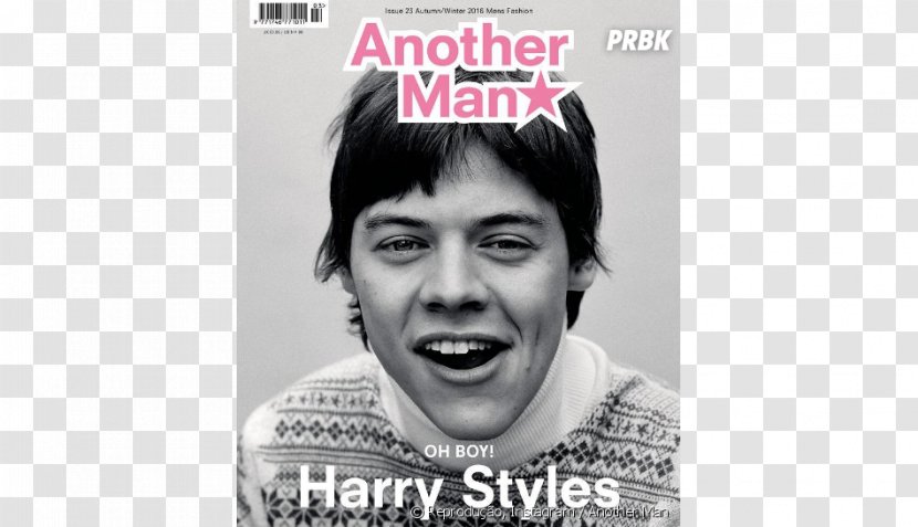 Harry Styles Another Man Magazine Dunkirk - Flower - One Direction Transparent PNG
