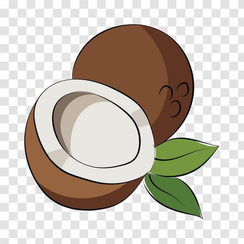Coconut Auglis Icon - Cartoon - Cut Transparent PNG