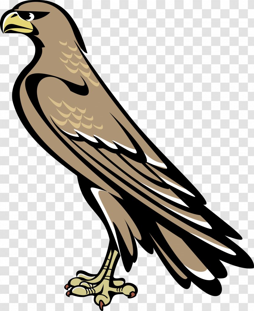 Symbol Coat Of Arms Australia Heraldry Crest - Bird - Falcon Transparent PNG