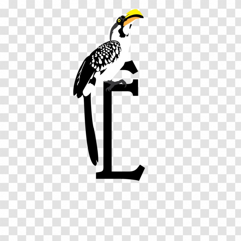Beak Hornbill Bird Clip Art - Logo Transparent PNG