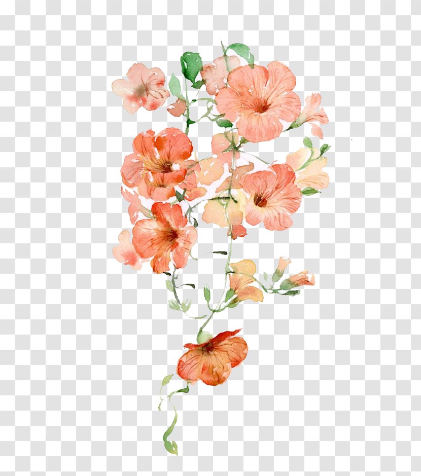 Flower Pink Icon - Watercolor Flowers Transparent PNG