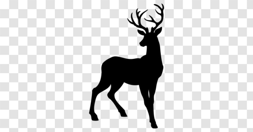 Reindeer Silhouette Antler Clip Art - Mammal Transparent PNG