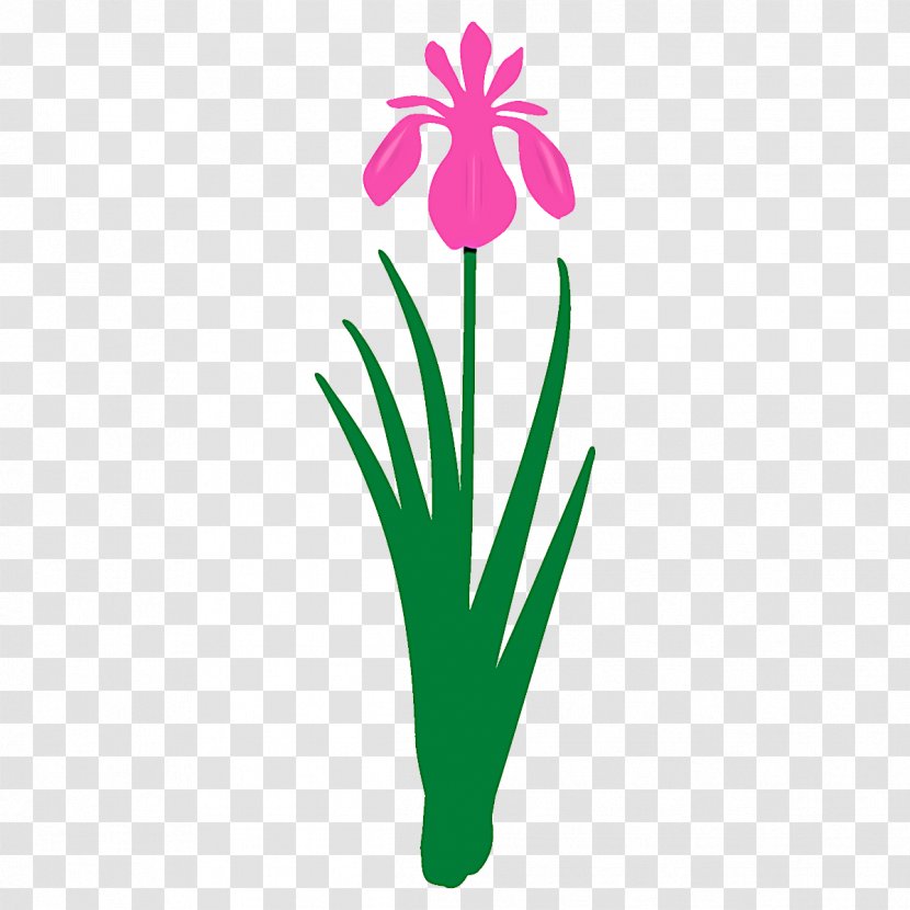 Flower Green Plant Pedicel Flowerpot - Petal Transparent PNG