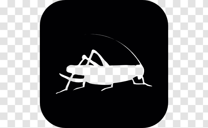 Insect Locust Silhouette Cricket Pest - Photography Transparent PNG