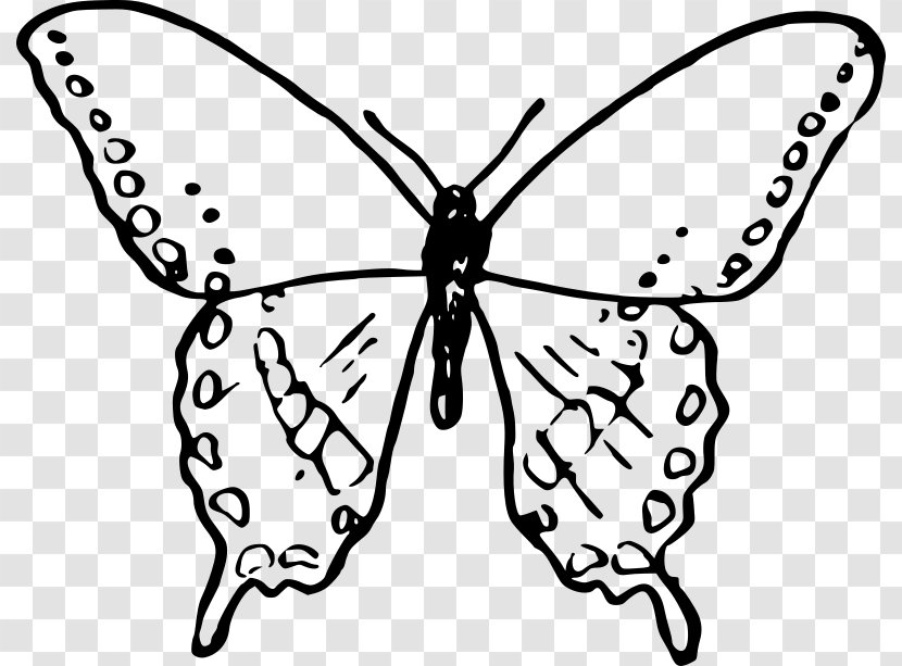 Drawing Painting Clip Art - Pest - Dream Butterfly Transparent PNG