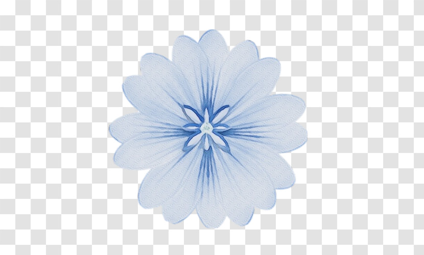 Petal Chicory Transparent PNG