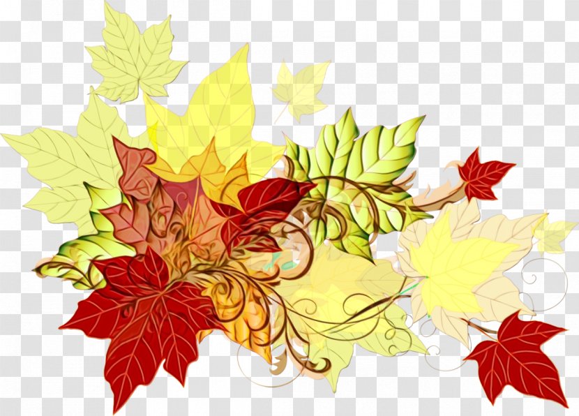 Autumn Leaves Watercolor - Deciduous Flower Transparent PNG