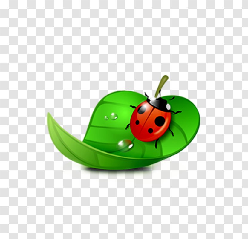 Ladybird Clip Art - Ladybug On Green Leaf Transparent PNG