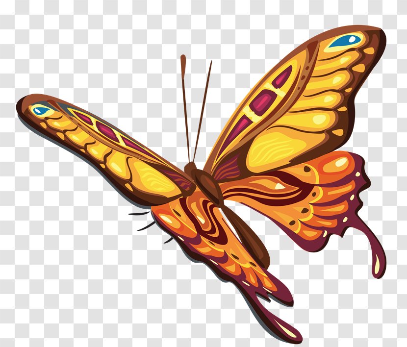 Clip Art Vector Graphics Image Illustration Free Content - Moth - Mariposas Transparent PNG