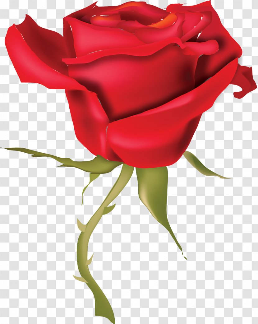 Rose Drawing Clip Art - Red Transparent PNG