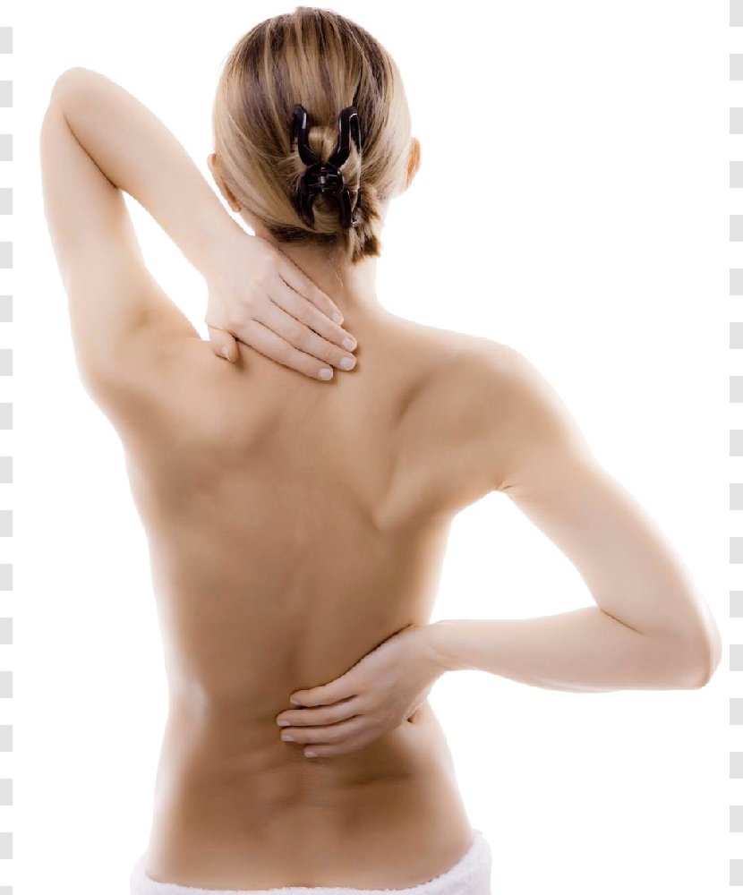 Human Musculoskeletal System Osteochondrosis Disease Therapy Mugurkaula Osteohondroze - Flower - Back Pain Transparent PNG