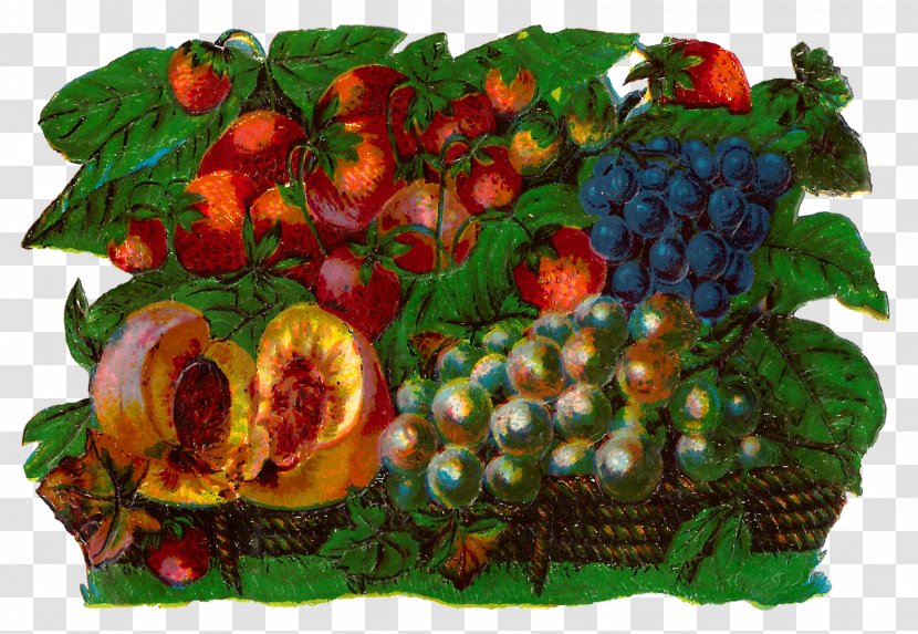 Fruit Digital Art Watercolor Painting Food Gift Baskets Clip - Work Of - Fruits Basket Transparent PNG