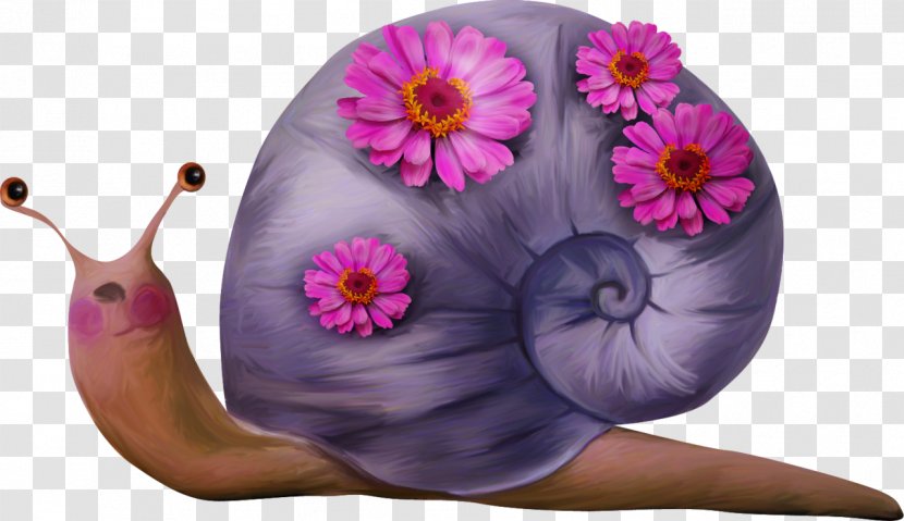 Snail Cartoon Drawing Clip Art - Hand-painted Transparent PNG