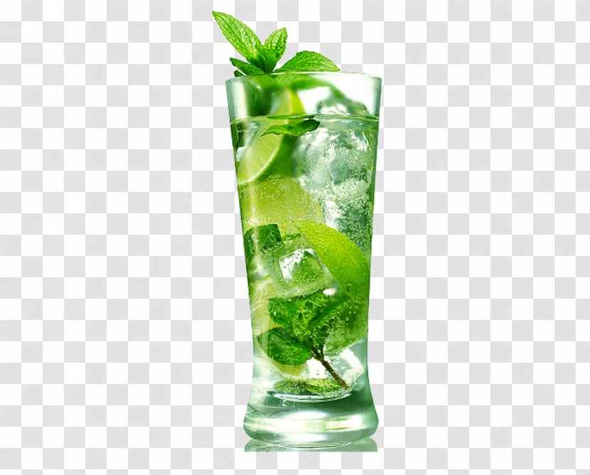 Mojito Cocktail Distilled Beverage Rum Tequila - Sugar - Cold Green Tea Transparent PNG
