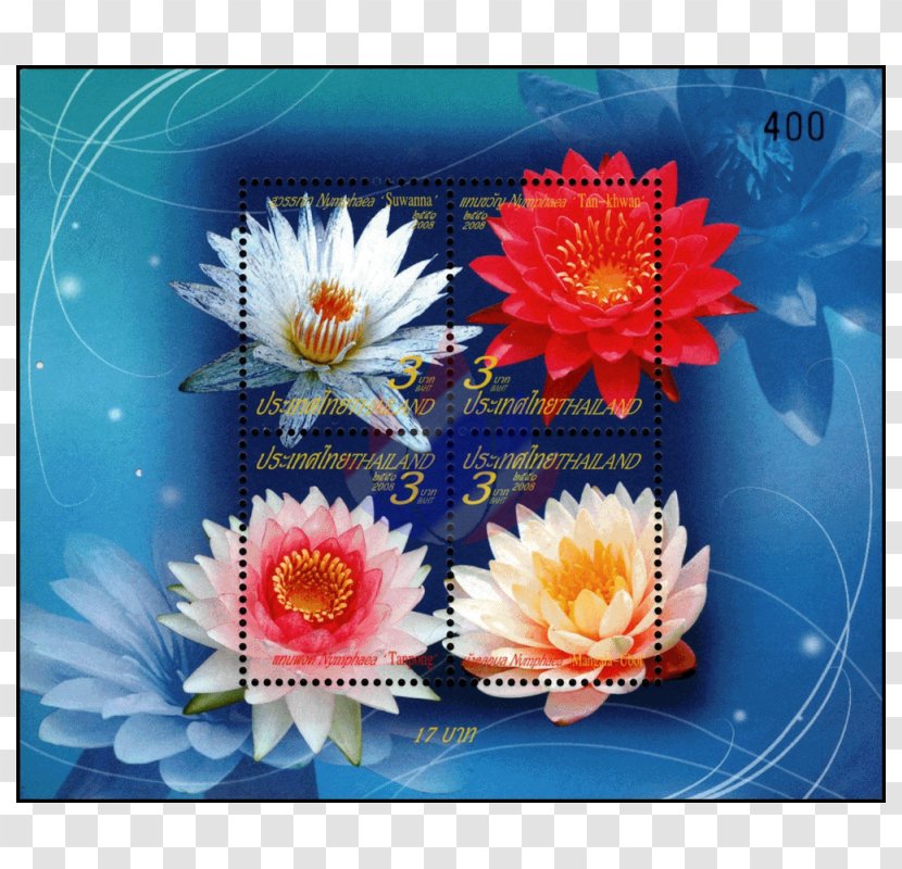 Postage Stamps ร้านแสตมป์เอซี Thai Baht Letter Tongdaeng - Water Lilly Transparent PNG