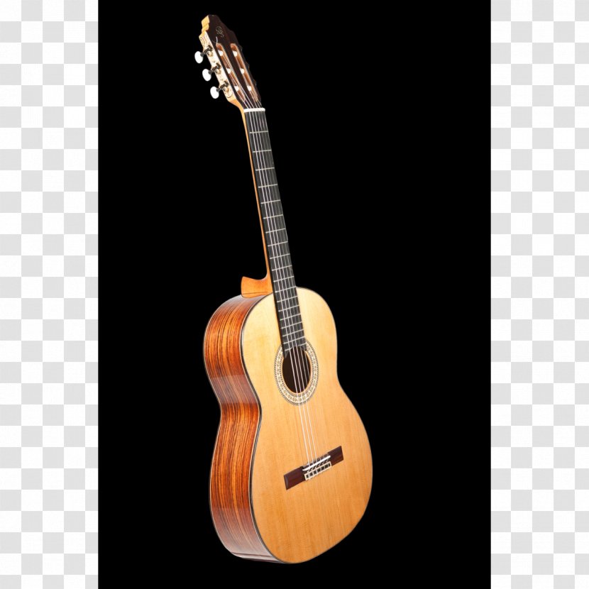 Ukulele Flamenco Guitar Fender Telecaster Cutaway - Electric Transparent PNG