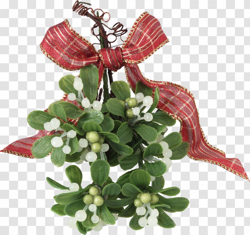 Windsor Christmas Mistletoe Holiday Kiss Transparent PNG