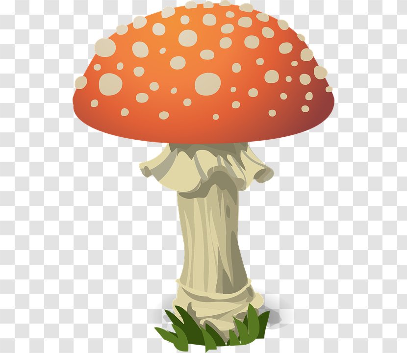 Fungus Amanita Muscaria Mushroom Clip Art - Hat - Photo Transparent PNG