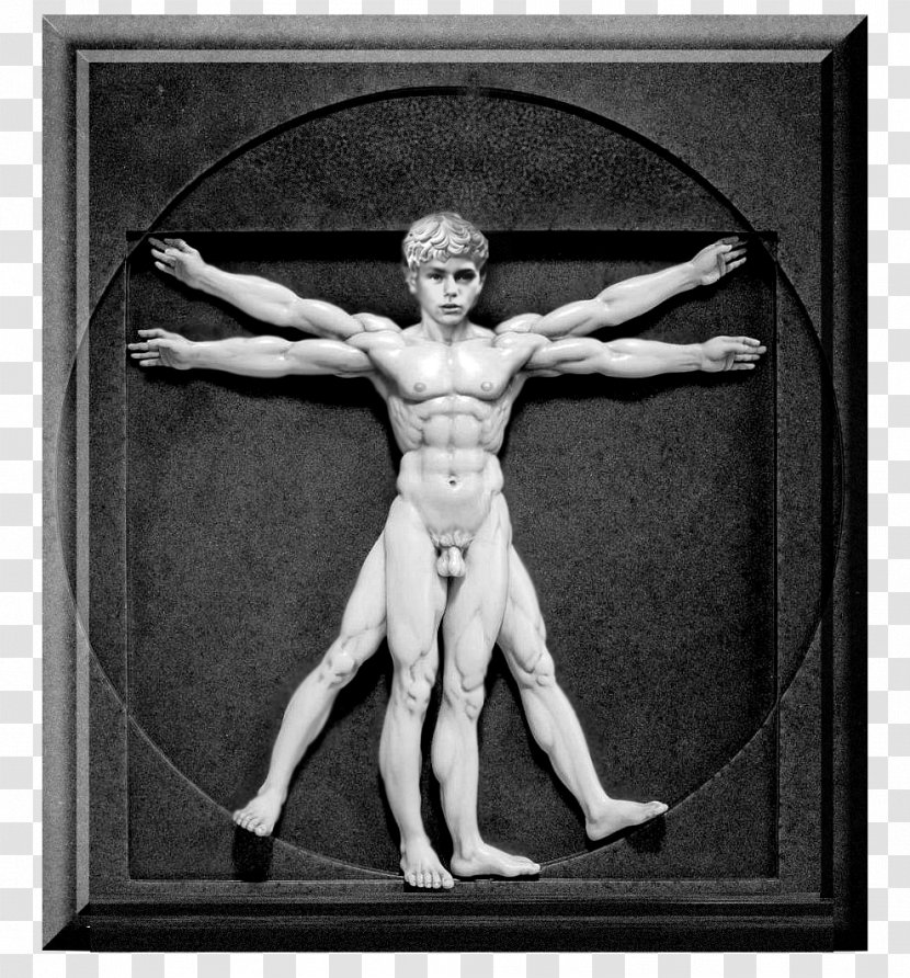 Vitruvian Man Renaissance Sculpture Art - Frame - Design Transparent PNG