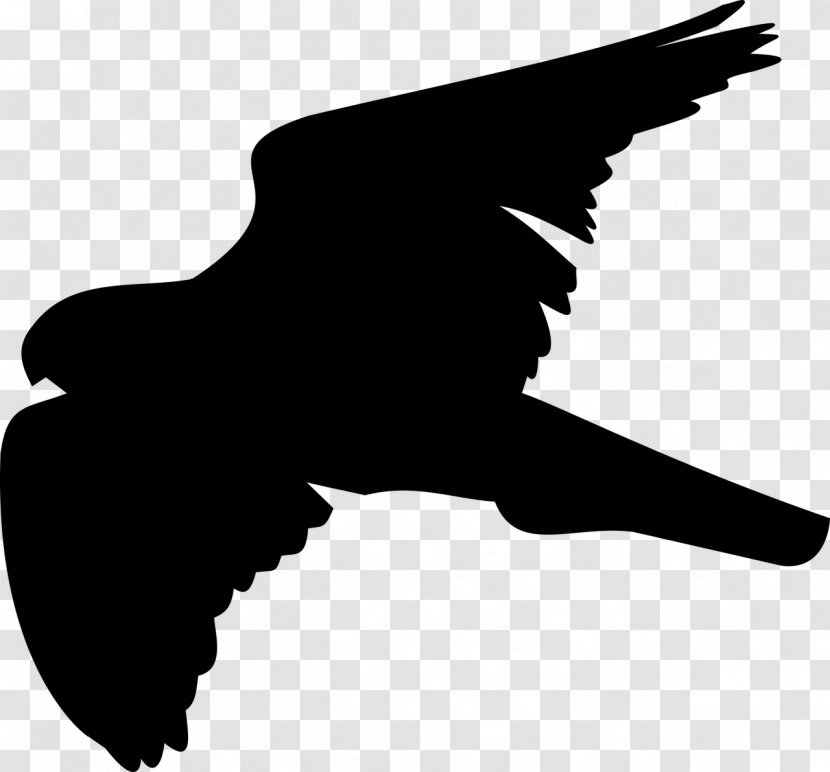 Bird Red-tailed Hawk Eagle Clip Art - War Transparent PNG