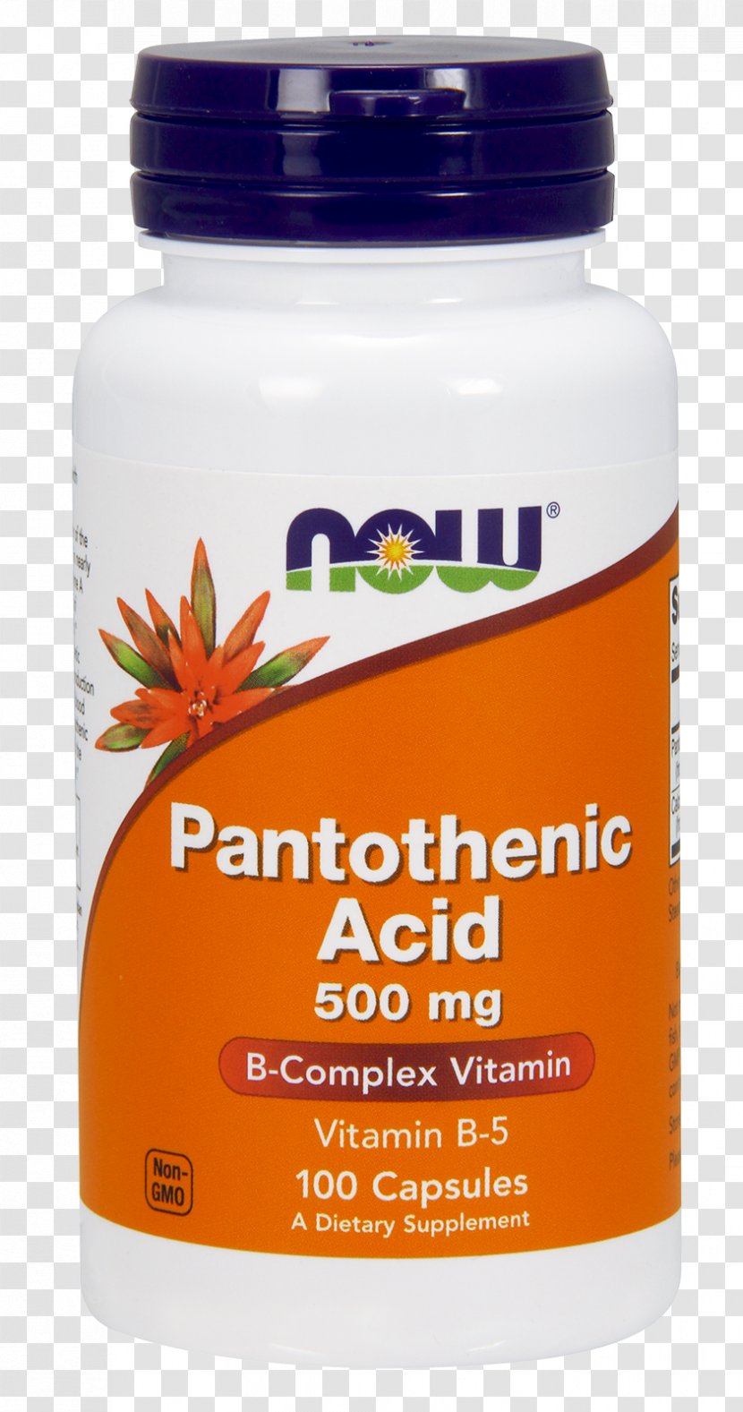 Dietary Supplement Pantothenic Acid Capsule NOW Foods - Flavor - Health Transparent PNG
