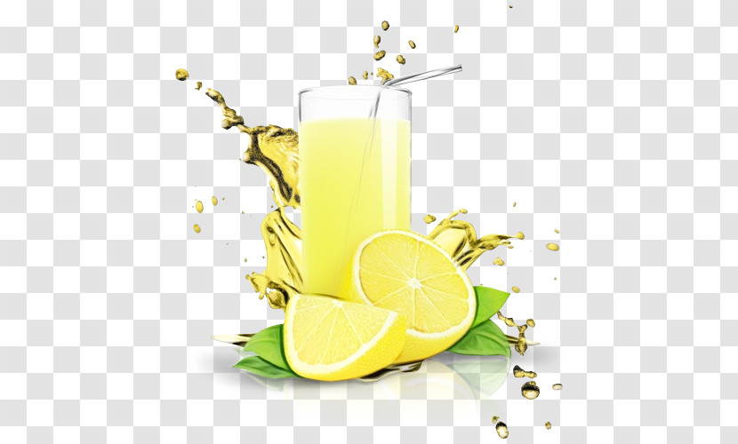 Cocktail Garnish Lemonade Harvey Wallbanger Mint Lemonade Lemon-lime Drink Transparent PNG