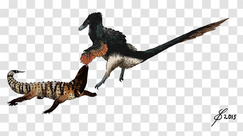 Velociraptor Acheroraptor Saurian Tyrannosaurus Dakotaraptor - Balaur - Lizard Transparent PNG