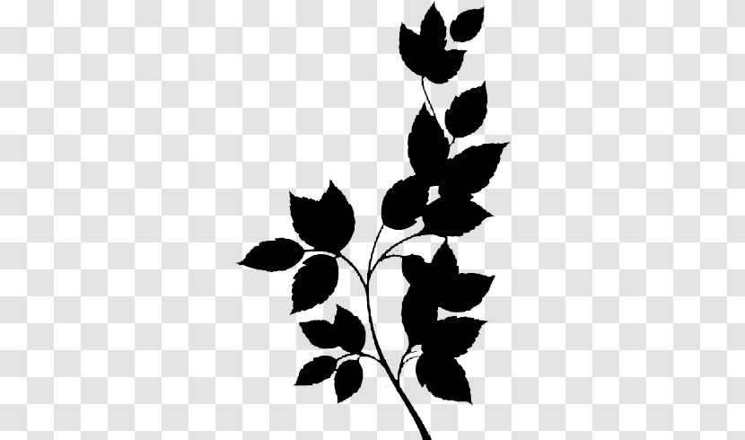 Black & White - Twig - M Flower Leaf Plant Stem Font Transparent PNG