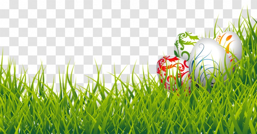 Easter Bunny Egg Clip Art - Fodder - Floral Design Eggs In Grass Transparent PNG