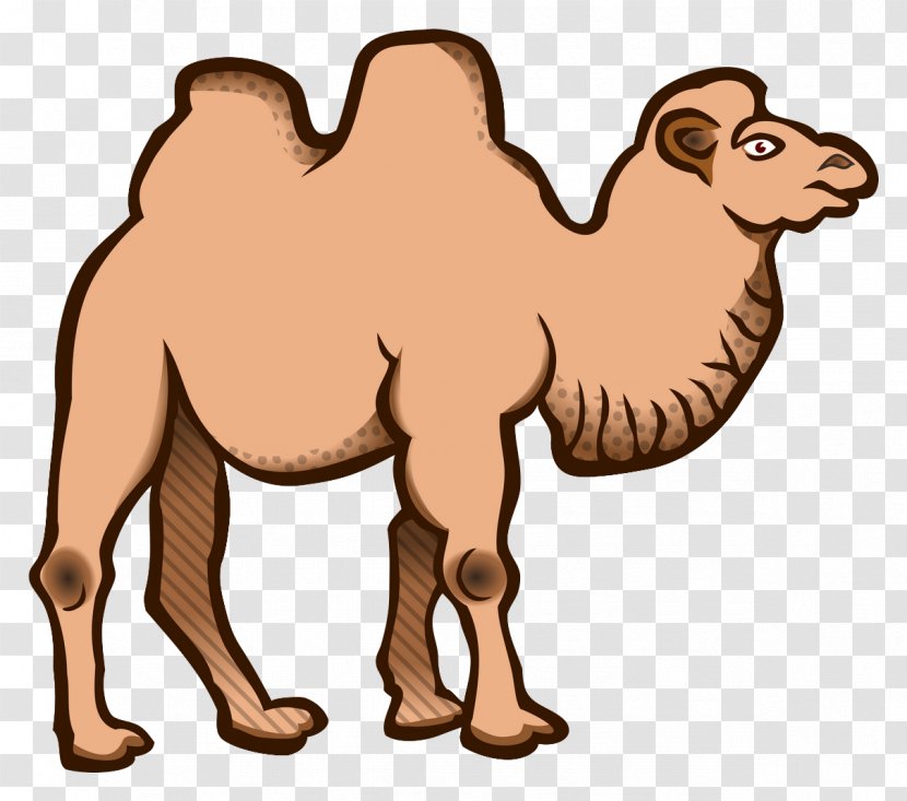 Wild Bactrian Camel Dromedary Clip Art - Animal Figure Transparent PNG