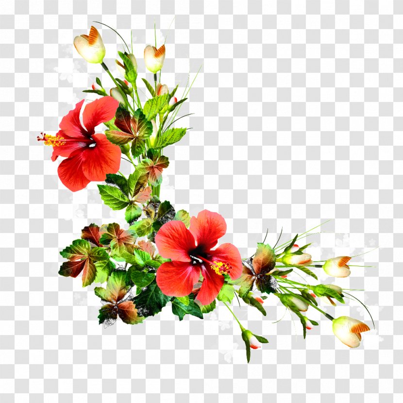 Floral Design Cut Flowers - Blossom - Flower Transparent PNG