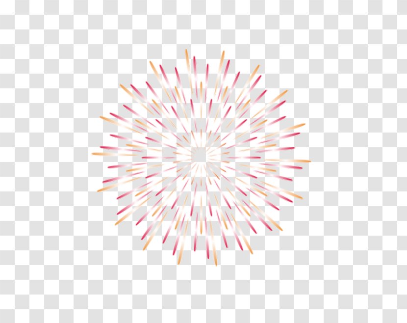 Petal Pattern - Pink - Color Fireworks Element Transparent PNG