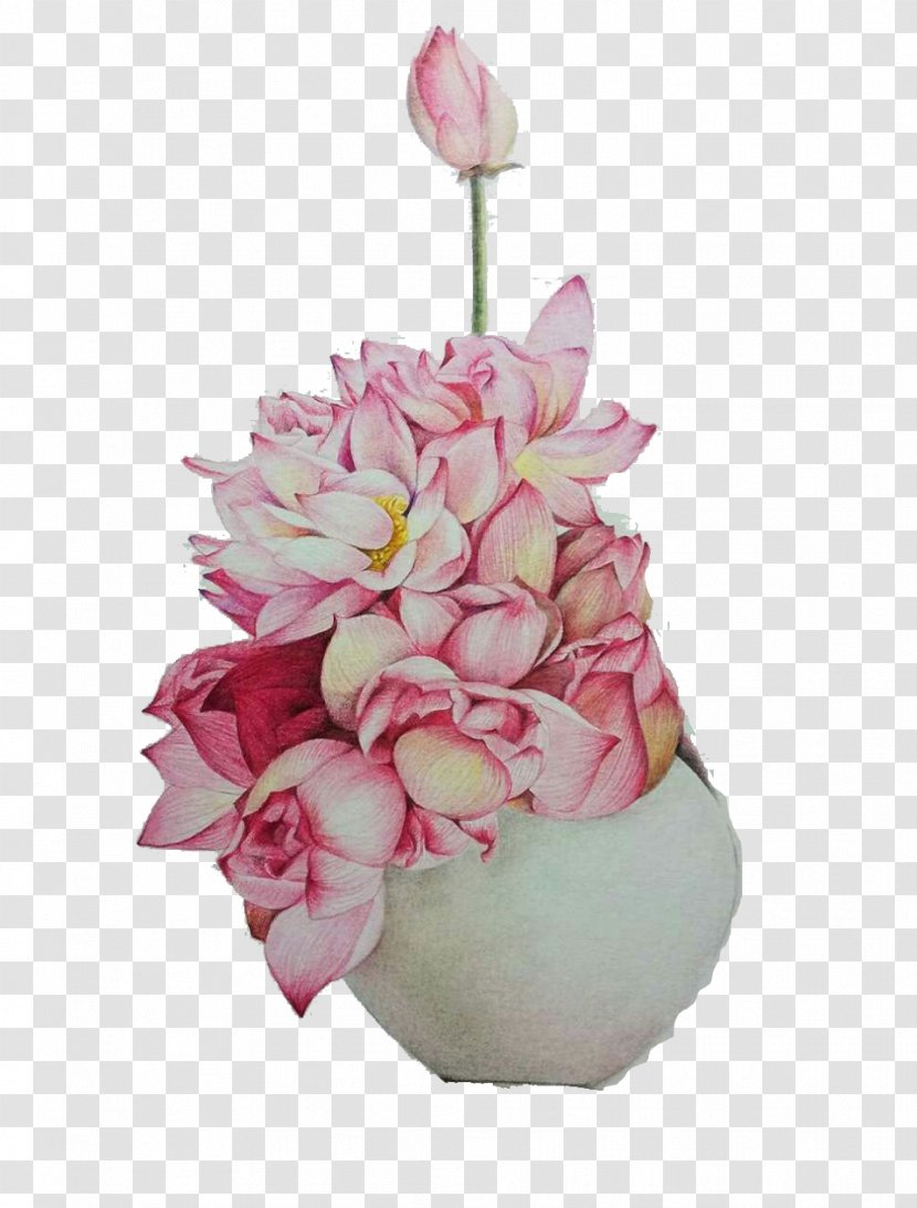 Garden Roses Centifolia Nelumbo Nucifera Flower Bouquet Paper - Plant - Free Pink Lotus Pull Material Transparent PNG