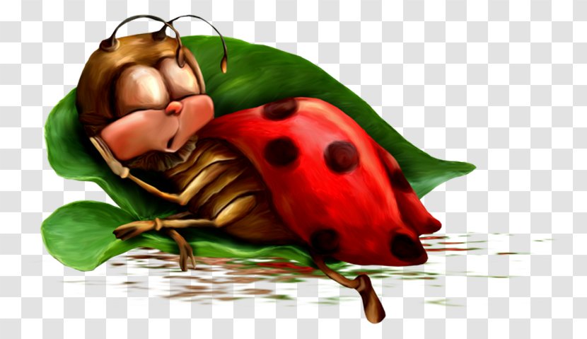Night Animation Morning Photography - Sleep - Ladybug Transparent PNG