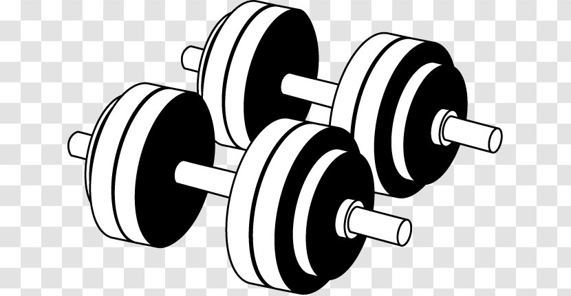 Dumbbell Exercise Fitness Centre Barbell Clip Art Transparent PNG