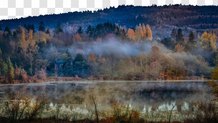 Photography Lake Tourist Attraction - Water Resources - Deer Views Transparent PNG