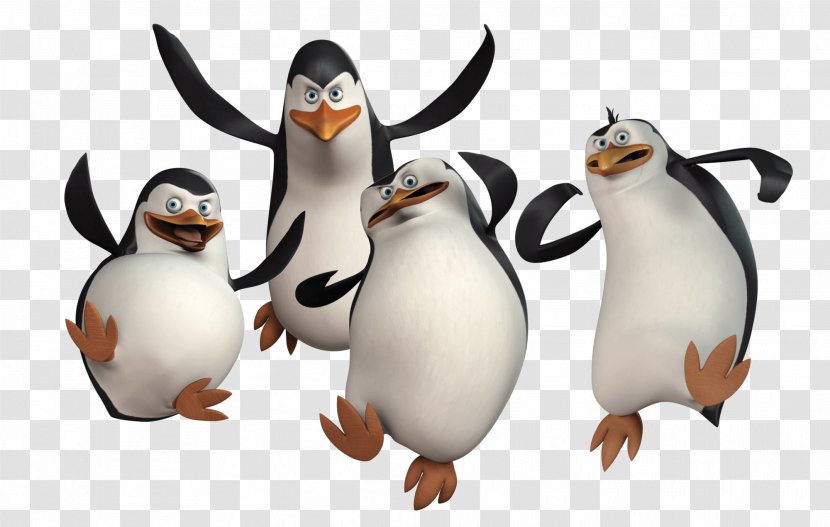 Penguin Madagascar DreamWorks Animation - Benedict Cumberbatch - Penguins Image Transparent PNG