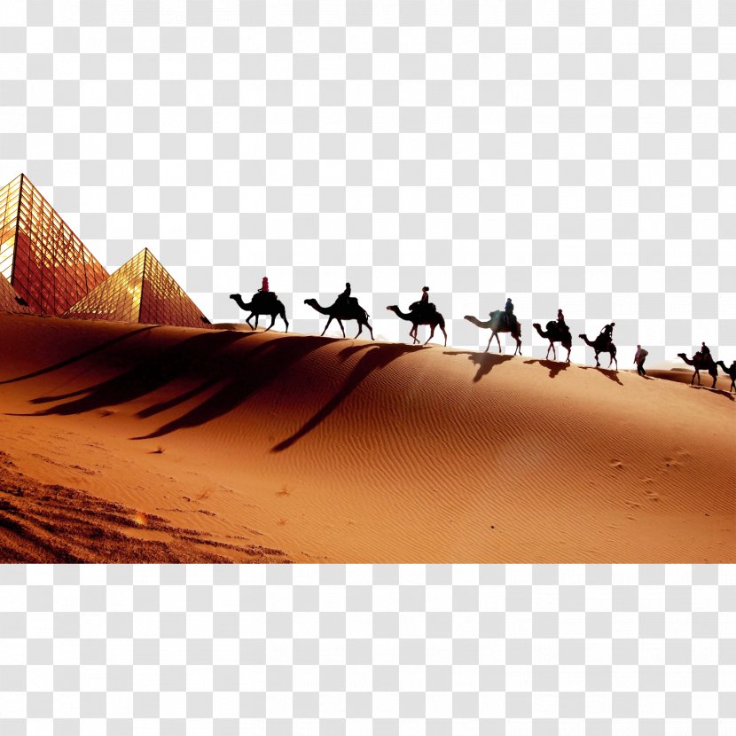 Merzouga SaharaTours4x4 - 4k Resolution - Private Day Tours In Morocco Erg DesertPyramid Desert Camel Doing Cutout Transparent PNG