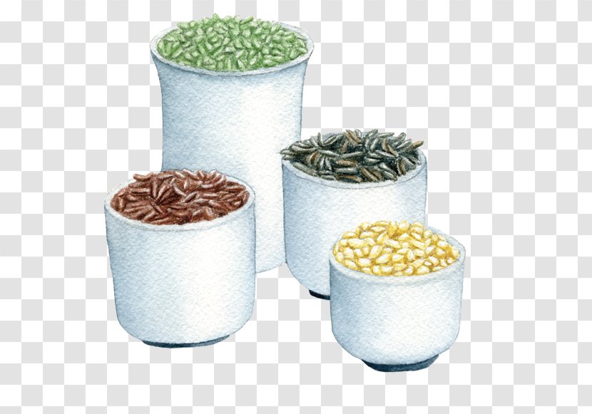 Flowerpot Tableware Commodity - Design Transparent PNG