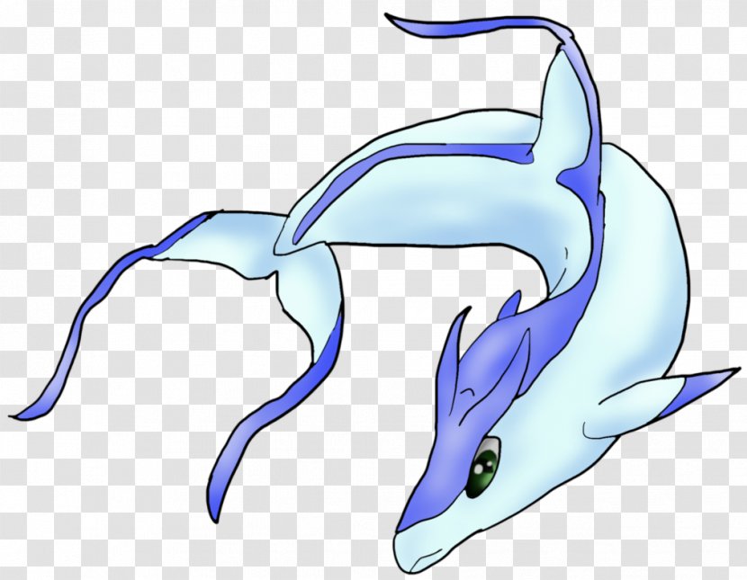Tucuxi Common Bottlenose Dolphin Pokémon XD: Gale Of Darkness Colosseum - Tail - Drawing Transparent PNG