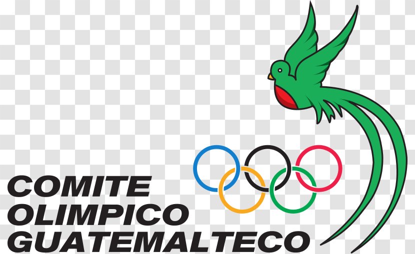 Summer Olympic Games Guatemalan Committee Guatemala City National - Brand - Symbols Transparent PNG