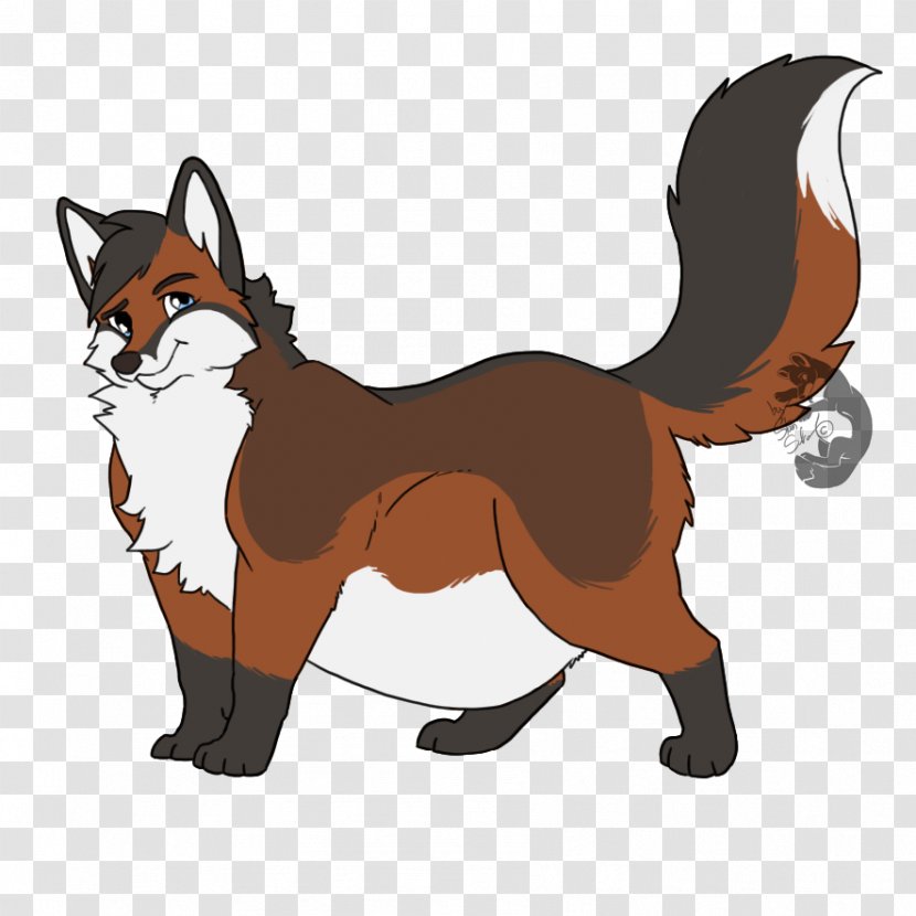 Whiskers Red Fox Feral Cat Dog - Vertebrate Transparent PNG
