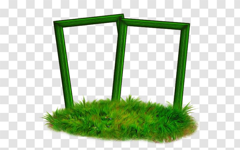 Green Background Frame - Grass - Moss Plant Transparent PNG